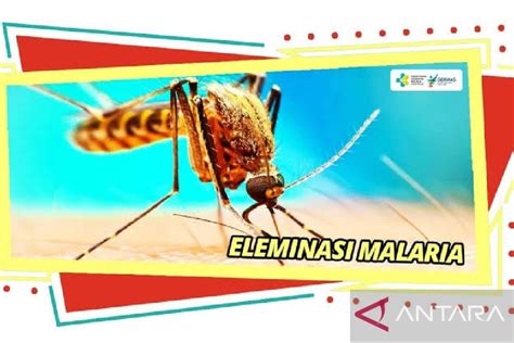 Dinkes Biak Satu Distrik Biak Utara Sudah Eliminasi Malaria Antara