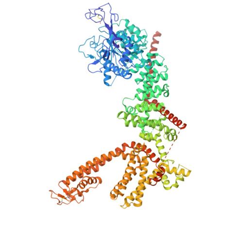 rcsb pdb bx cryo em structure   human trpm channel subunit
