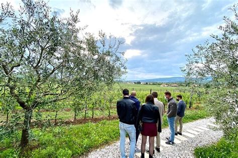 Valpolicella Wine Tour Explore Wineries Lunch Amarone Focus