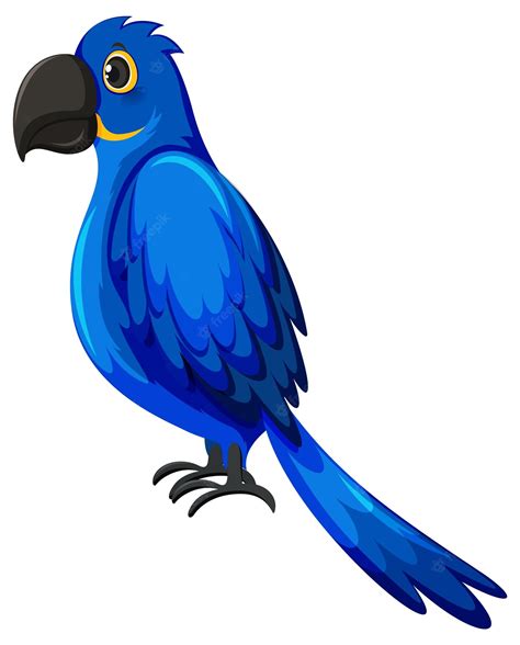 Premium Vector Parrot Bird In Cartoon Style