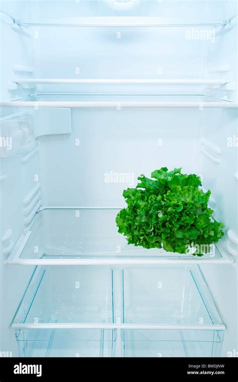 Lettuce in Fridge Stock Photo - Alamy