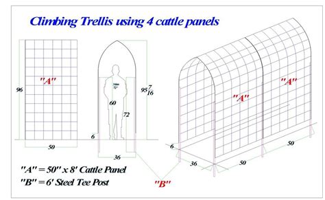 Garden Trellis & Screening | Garden Fence Panels & Gates: Arch Trellis ...