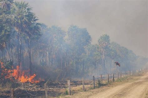 Clima Piora E Pantanal Volta A Ter Seis Focos De Inc Ndios Meio