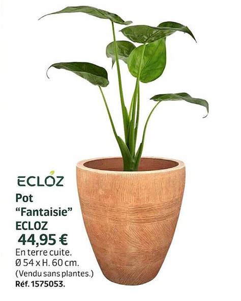 Promo Pot Fantaisie Ecloz Chez Jardiland Icatalogue Fr