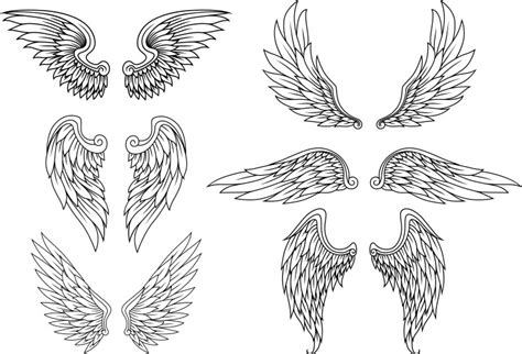 Angel Wings Vector Images (over 48,000)