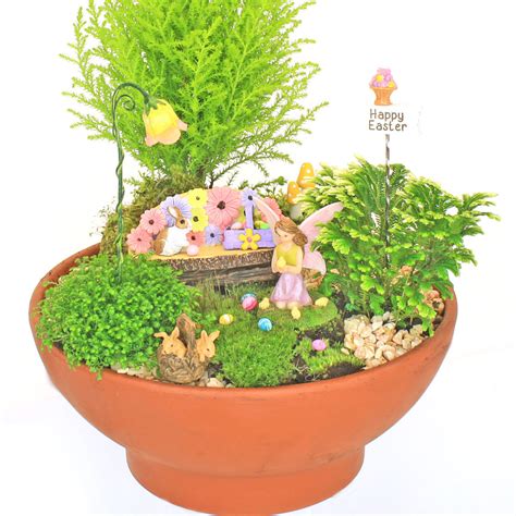 Fairy Garden Kits Fairy Garden Boxed Kits Fairy Gardens Uk