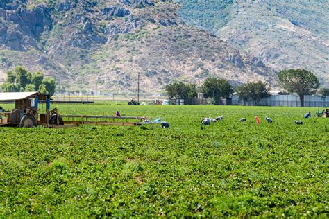 heat wave stresses california crops proag