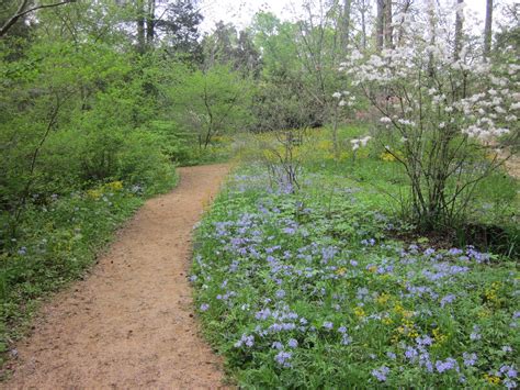 North Carolina Botanical Garden | Twice the Rice