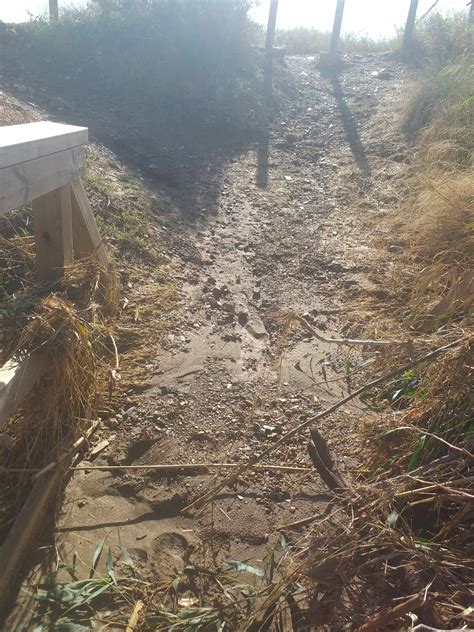 Las Fuertes Precipitaciones En El Mar Menor Inundan Los Nietos