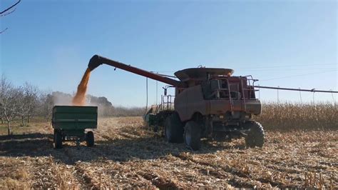 Corn Harvest Youtube