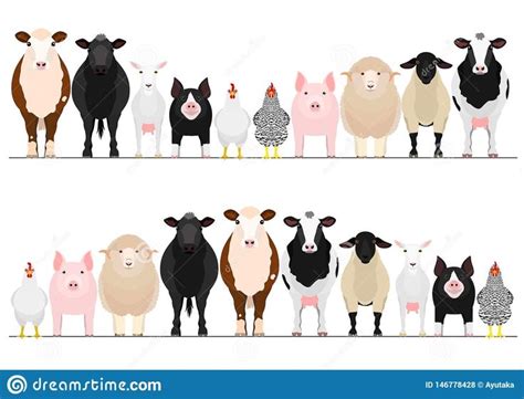 Livestock Border Set of Various Domestic Animals