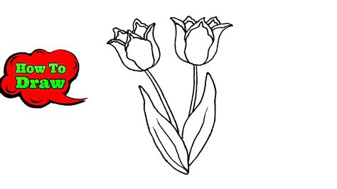 How To Draw Tulips Step By Step Very Easy Tulip Flower Drawing