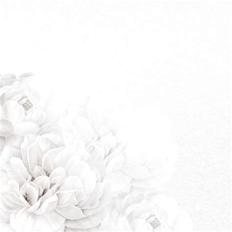 Psd Background Wedding Background Background Images White Background