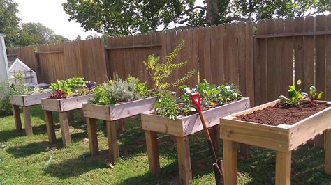 The Wellness Pa C Diy Raised Garden Beds