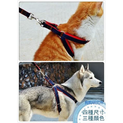 寵物 狗 貓 胸背帶 胸背牽繩 牛仔 牽引繩 小型犬 中型犬 大型犬 拉繩 【狗狗研究所】 蝦皮購物