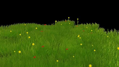 3d Model Grass Grassy Field With Flowers Vr Ar Low Poly Cgtrader