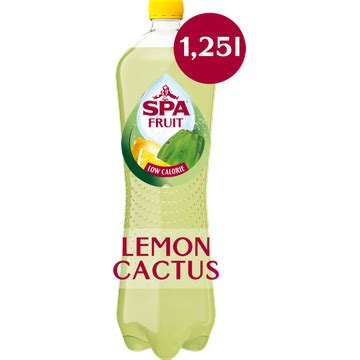 Spa FRUIT Bruisende Fruitige Frisdrank Lemon Cactus 1 25L Bestellen