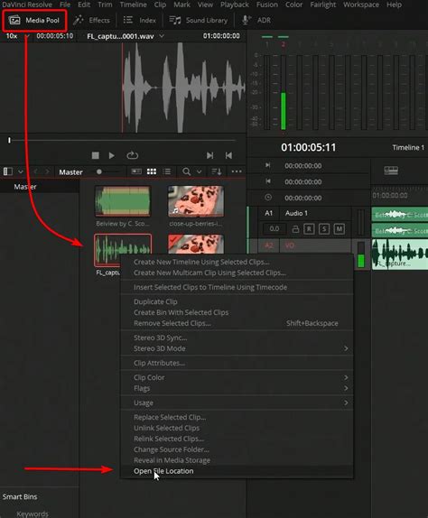 Quickly Record Voice Over In Davinci Resolve Jayaretv