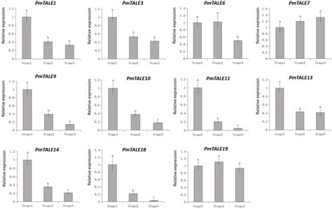 Frontiers Genome Wide Identification Of Three Amino Acid Loop