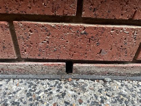 Why Are Brick Weep Holes So Important