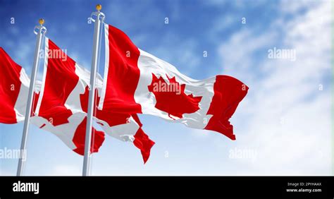 Three Canada National Flags Waving In The Wind On A Clear Day Stock