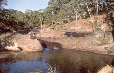 Dzalanyama Forest Reserve Central Malawi Malawi Tourism