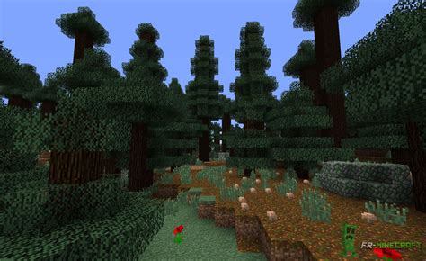 Minecraft Biome Taïga à Grands Arbres