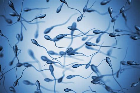 Azoospermia Definition Causes Symptoms Diagnosis And Treatment