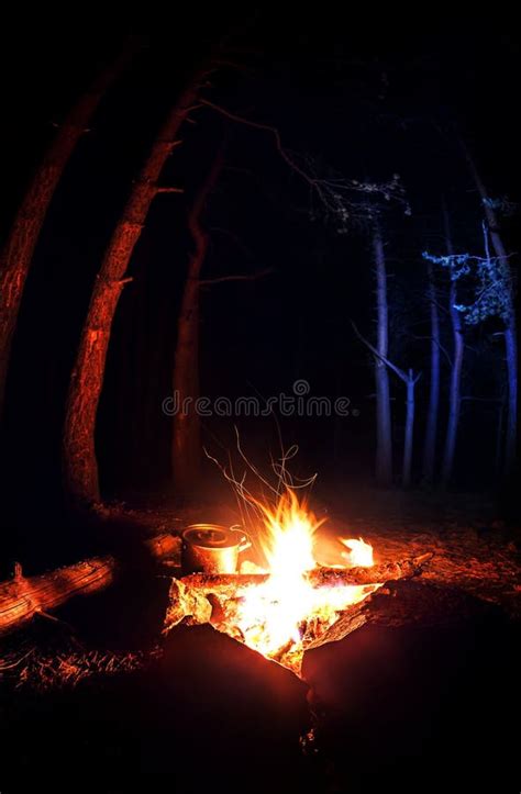 Burning Campfire On A Dark Night In A Forest Stock Photo Image Of