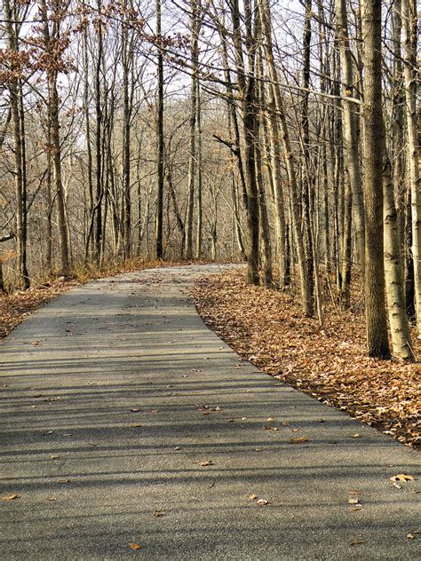 Hoosier Safari Potato Creek State Park