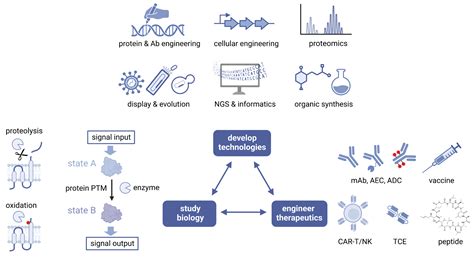 Zhou Lab Department Of Radiation And Cellular Oncology Department