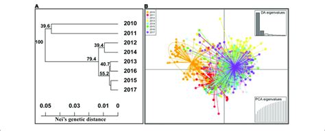 Phylogenetic Tree Based On Neis Genetic Distances Among 8 Years A