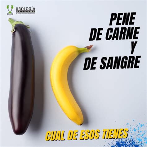 Pene De Carne Y Pene De Sangre