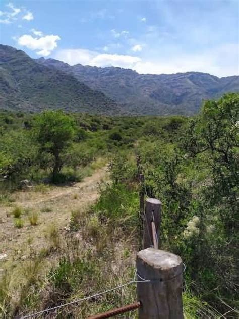 Fotos de FRACCIÓN EN SAN MIGUEL DE CORTADERAS MERLO SAN LUIS Anuncio