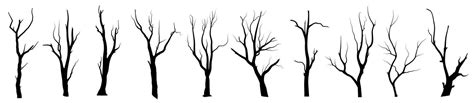 Black Branch Tree Or Naked Trees Silhouettes Set Hand Drawn Isolated