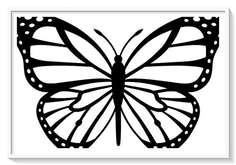 De Oruga A Mariposa Para Colorear Dibujo Im Genes