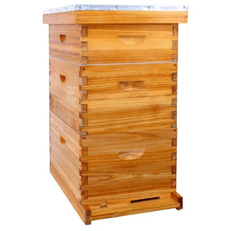 Buy Beehive Frame Bee Hive Starter Kit Beeswax Coated Hive For Bee