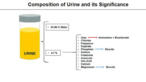 Composition Of Urine And Its Significance Helal Medical