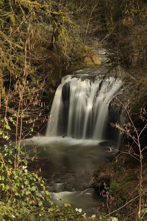 Hidden Falls Nature Park Updated January 2025 23 Photos 14888 152nd Happy Valley Oregon