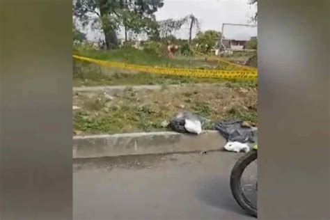 Macabro Hallazgo De Dos Fetos En Bolsas De Basura En Un Barrio De Cali