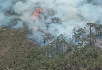 Reportan incendio forestal en Yehuala comunidad de Zacatlán Puebla