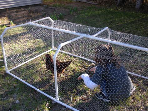 how to build a chicken run 6