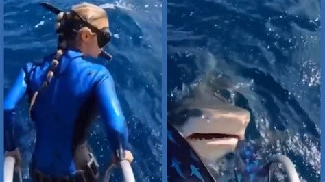 Woman Suffers Terrifying Shark Attack While Scuba Diving Watch Viral Video