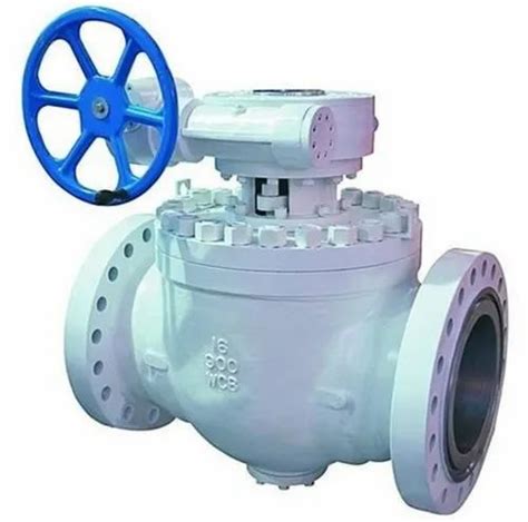 Audco Cast Steel Check Valve Flanged Endbutt Weld Valve Size 2 To 24 Inch At Rs 100000 In Mumbai