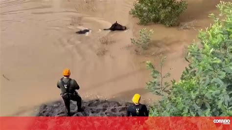 Imagens mostram polícia do Chile a usar cordas em resgate de pessoa