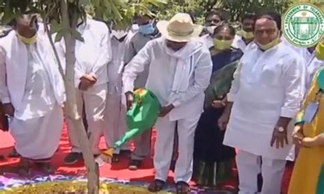 Telangana Kcr Launches Phase Vi Of Haritha Haram In Narsapur