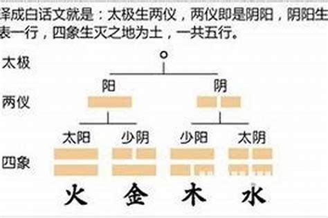 五行里面缺木怎么办？纳音表和八字五行对应八字若朴堂文化