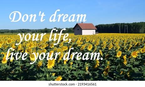 340 Field Of Dreams Quotes Images, Stock Photos & Vectors | Shutterstock