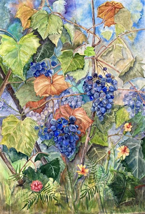 Grape Harvest Painting By Maryna Pashchenko Saatchi Art