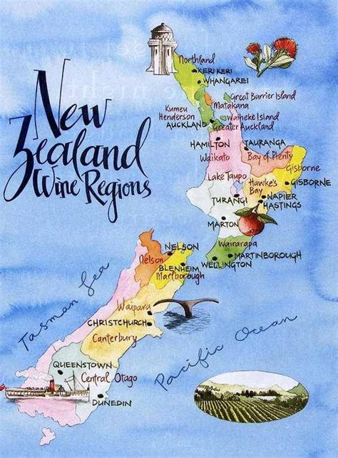 New Zealand Wine Regions | New zealand wine, New zealand travel, New ...